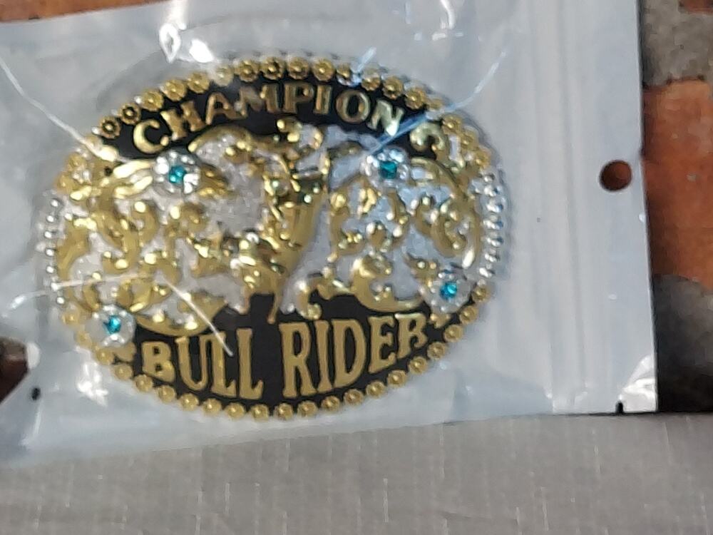 Champion Bull Rider Western Rodeo Mens Belt Buckle Gold Silver Tone Rhinestone